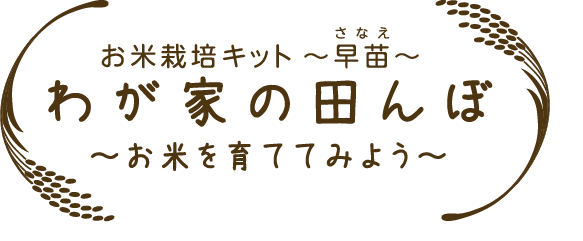 わが家の田んぼ ヘルススクラム